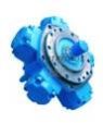 Intermot NHM Series Radial Piston Motors